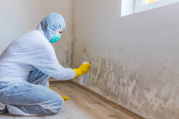 Licensed Mold Inspection And Testing service in Raleigh, NC - Mold Remediation HQ