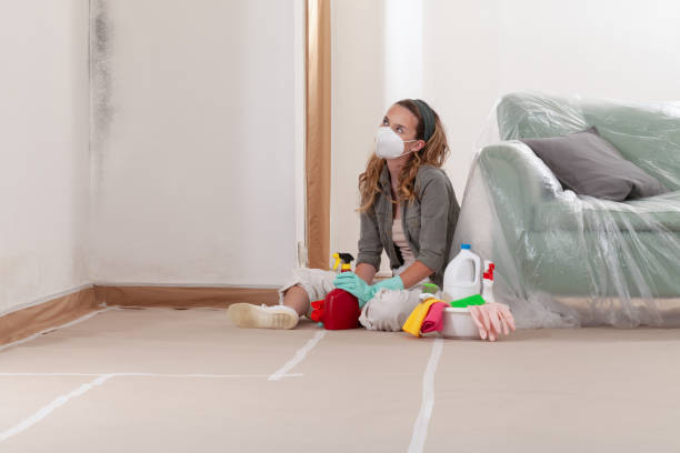 Reliable Mold Inspection And Testing contractor in Raleigh, NC by Mold Remediation HQ